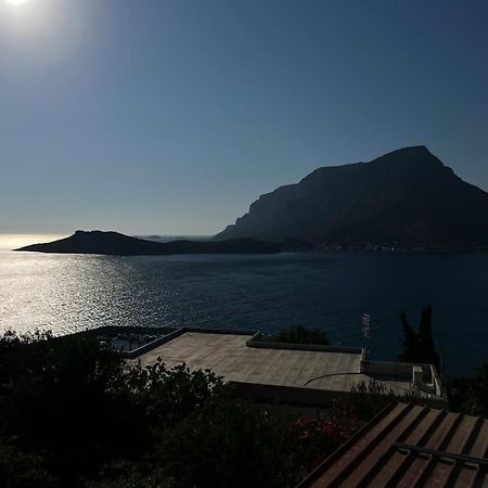 Panos Renos Studio, A Cozy Home By The Beach! Myrties Dış mekan fotoğraf