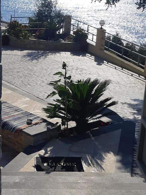 Panos Renos Studio, A Cozy Home By The Beach! Myrties Dış mekan fotoğraf