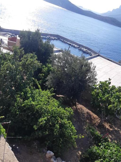 Panos Renos Studio, A Cozy Home By The Beach! Myrties Dış mekan fotoğraf
